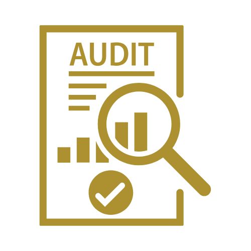 audits