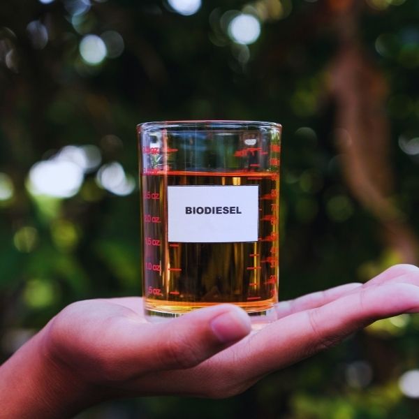 fuel-biodiesel