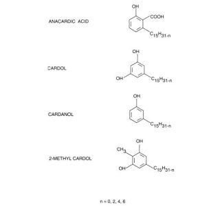 Cashew Nut Shell Liquid (CNSL) - Properties And Manufacture