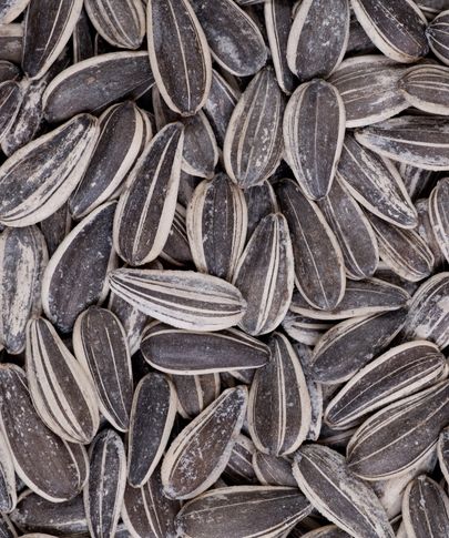 Sunflower Seed
